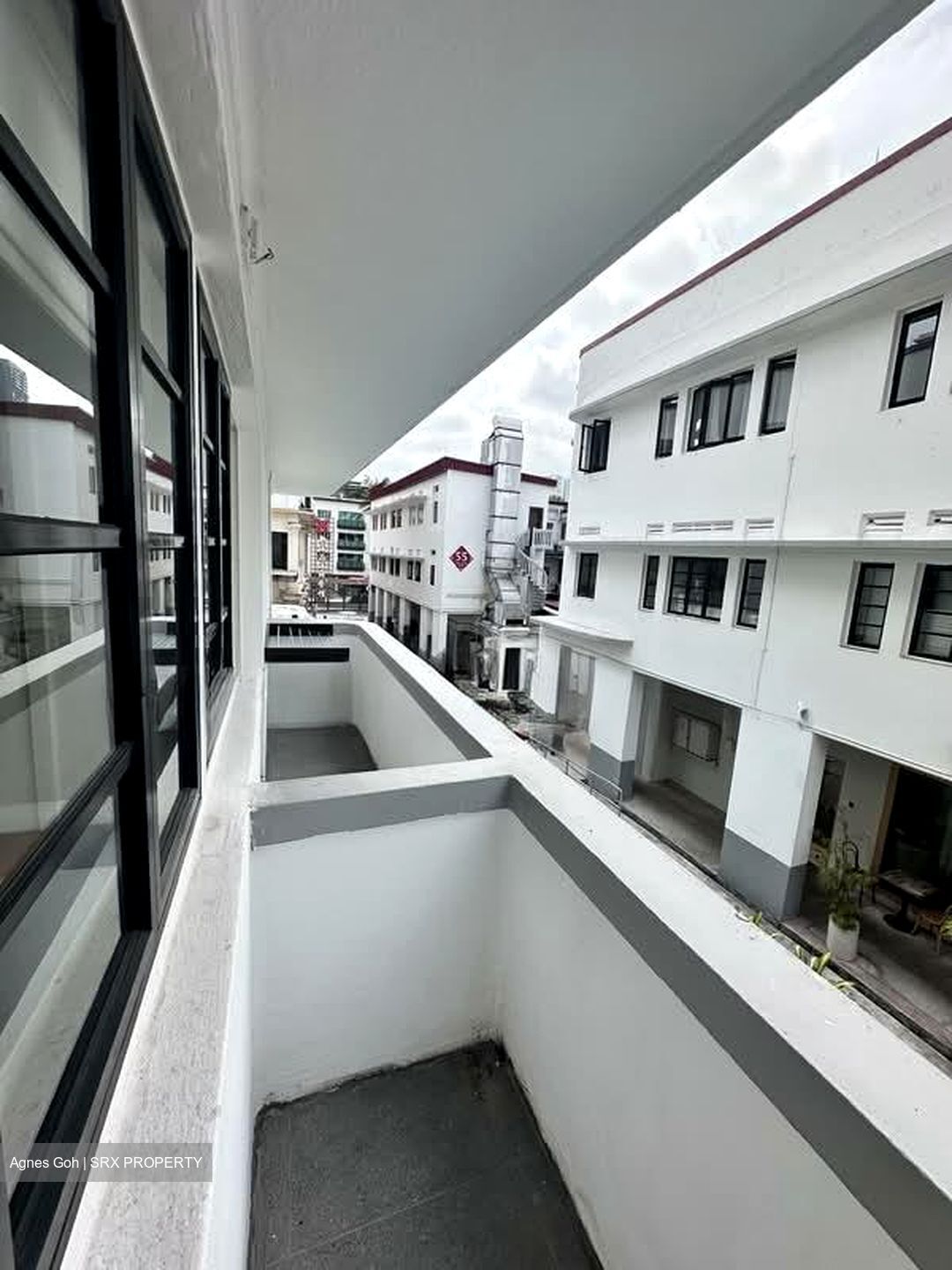 Tiong Bahru Estate (D3), Apartment #548944251